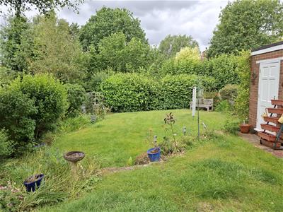 Picture 14